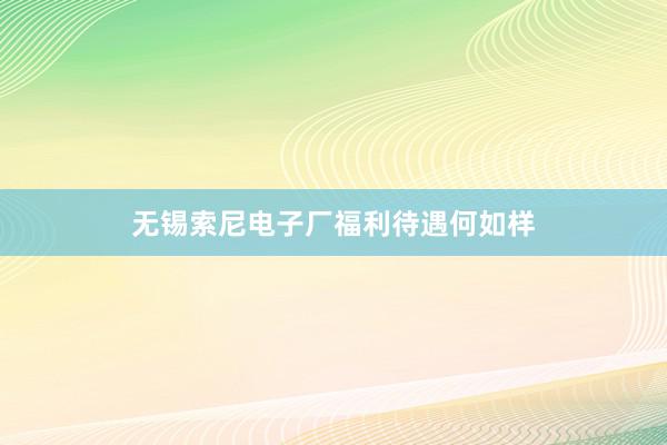 无锡索尼电子厂福利待遇何如样
